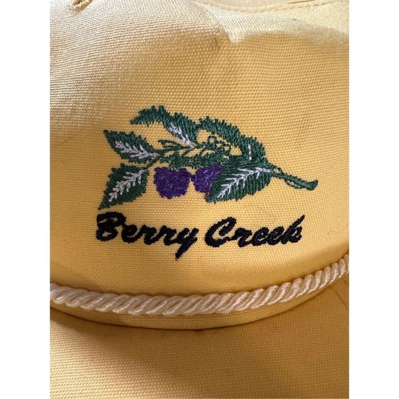 Vintage Berry Creek Strapback Hat - Picture 3 of 8